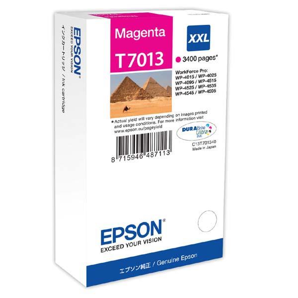 EPSON T7013 (C13T70134010) - originální Epson
